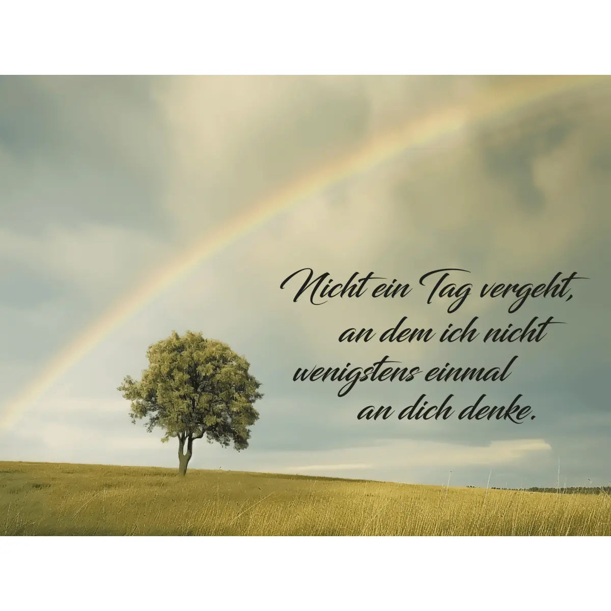 Dekoschild 20 x 15 cm – Regenbogen nach dem Sturm – „Nicht ein Tag vergeht …“ - meine - gedenktafel.de