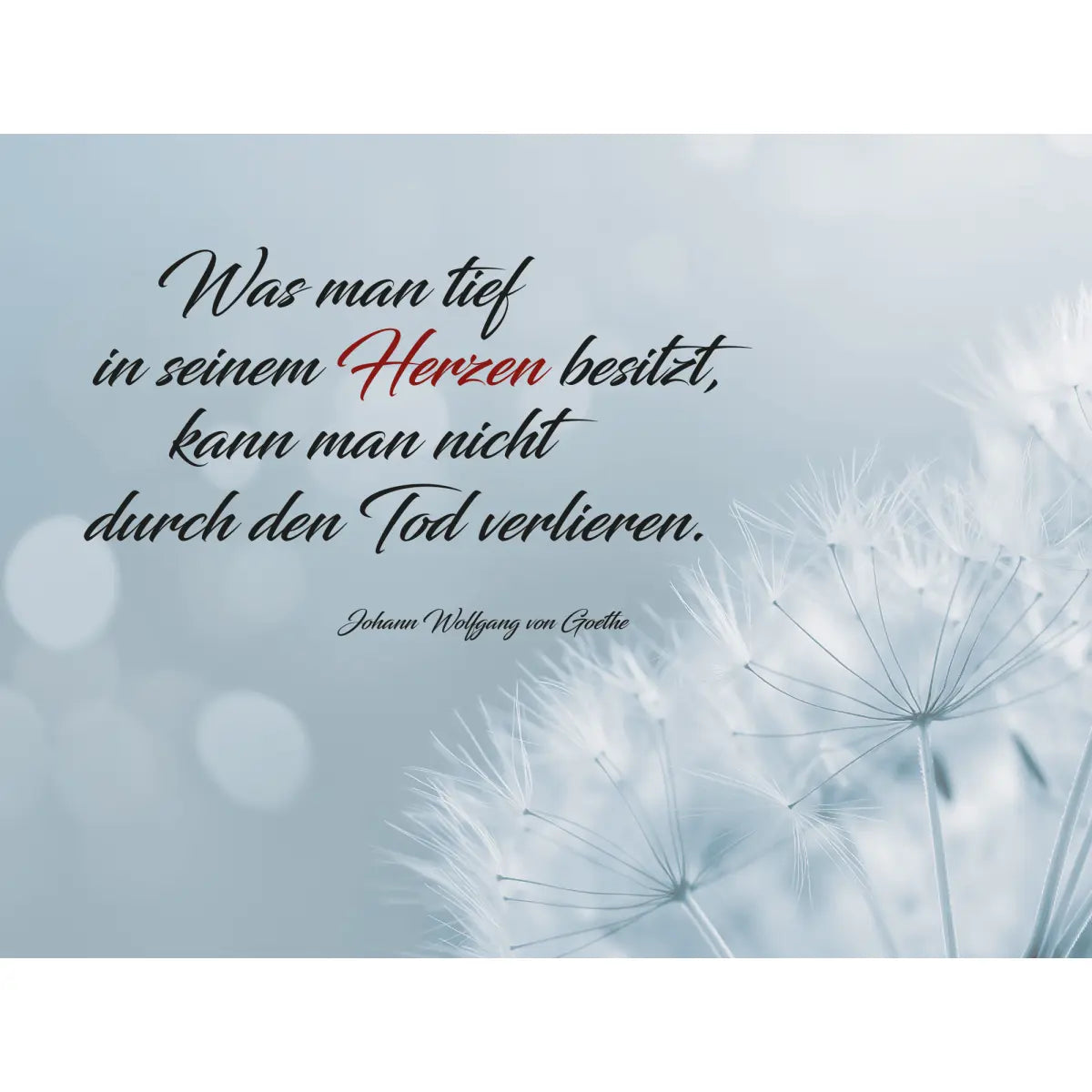 Dekoschild 20 x 15 cm – Schwebende Pusteblume – „Was man tief im Herzen besitzt …“ - meine - gedenktafel.de