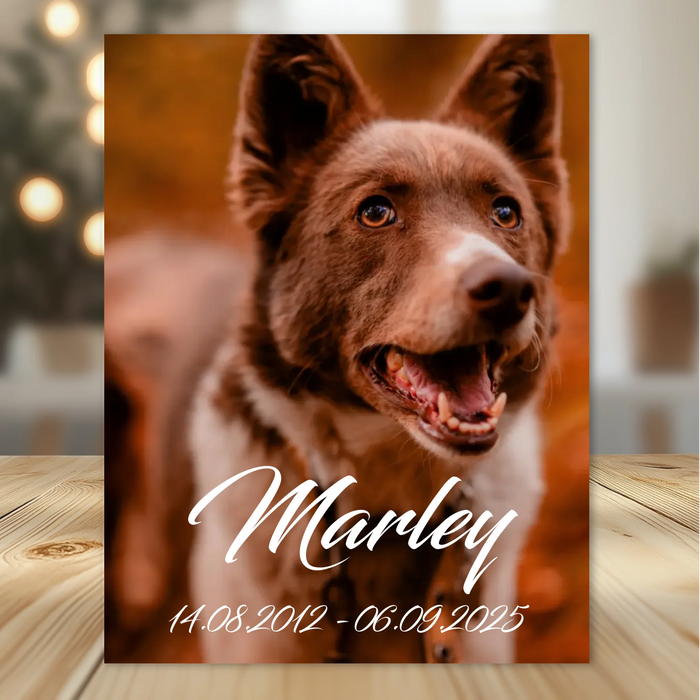 Personalisierte Gedenktafel für Hunde