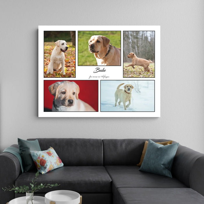 Erinnerungs-Wandbild - Fotocollage für Hunde