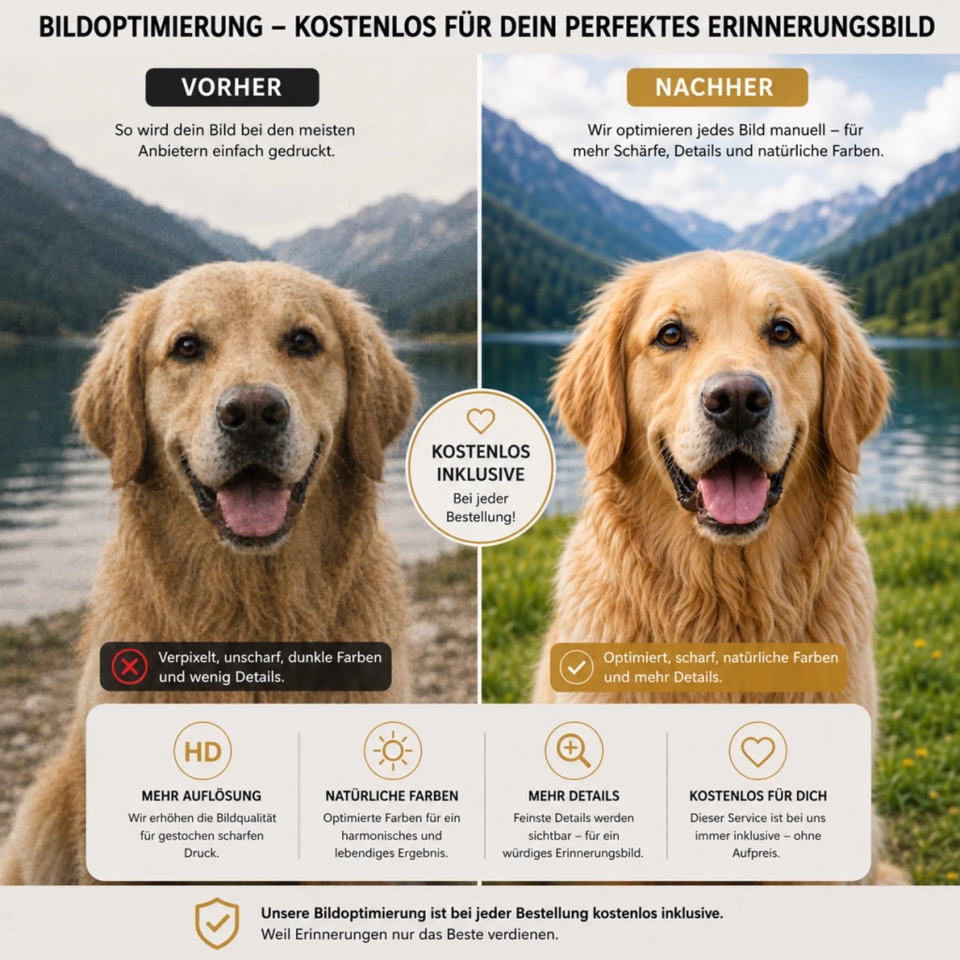 Bildoptimierung-Hund